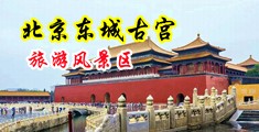 操鸡巴视频软件下载中国北京-东城古宫旅游风景区
